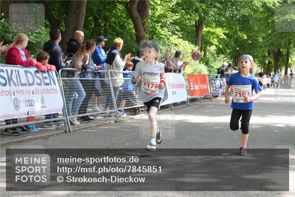 17.05.2025 - Störlauf Strokosch-Dieckow http://msf.ph/oto/7845851 17.05.2025 13:01:24 Ziel 0000, 7178, 7103 meine-sportfotos.de
