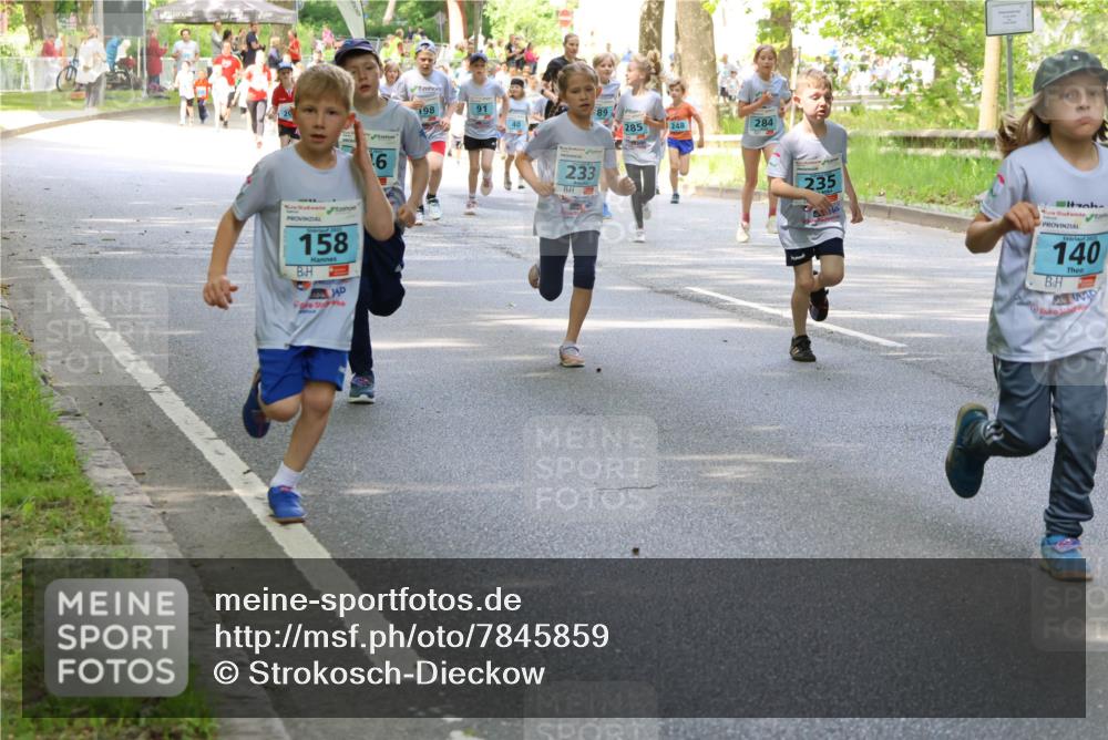 17.05.2025 - Störlauf Strokosch-Dieckow http://msf.ph/oto/7845859 17.05.2025 13:31:05 Laufen 6, 158, 198, 40, 233, 285, 248, 284, 235, 911240, 2021, 140 meine-sportfotos.de