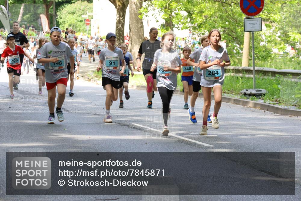 17.05.2025 - Störlauf Strokosch-Dieckow http://msf.ph/oto/7845871 17.05.2025 13:31:07 Laufen 208, 198, 91, 28, 248, 284 meine-sportfotos.de