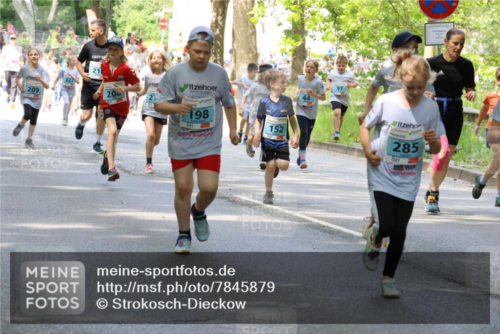17.05.2025 - Störlauf Strokosch-Dieckow http://msf.ph/oto/7845879 17.05.2025 13:31:09 Laufen 209, 222, 21, 20, 21, 198, 152, 97, 13, 05, 2025, 18, 05, 2025, 285 meine-sportfotos.de