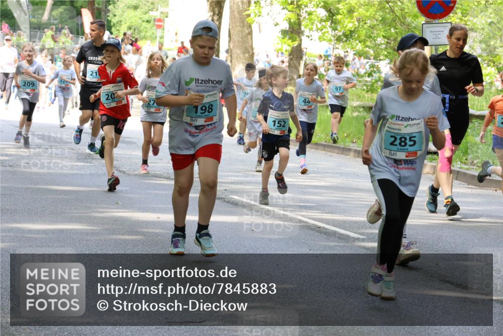 17.05.2025 - Störlauf Strokosch-Dieckow http://msf.ph/oto/7845883 17.05.2025 13:31:09 Laufen 209, 21, 20, 27, 198, 20, 152, 97, 2025, 285 meine-sportfotos.de