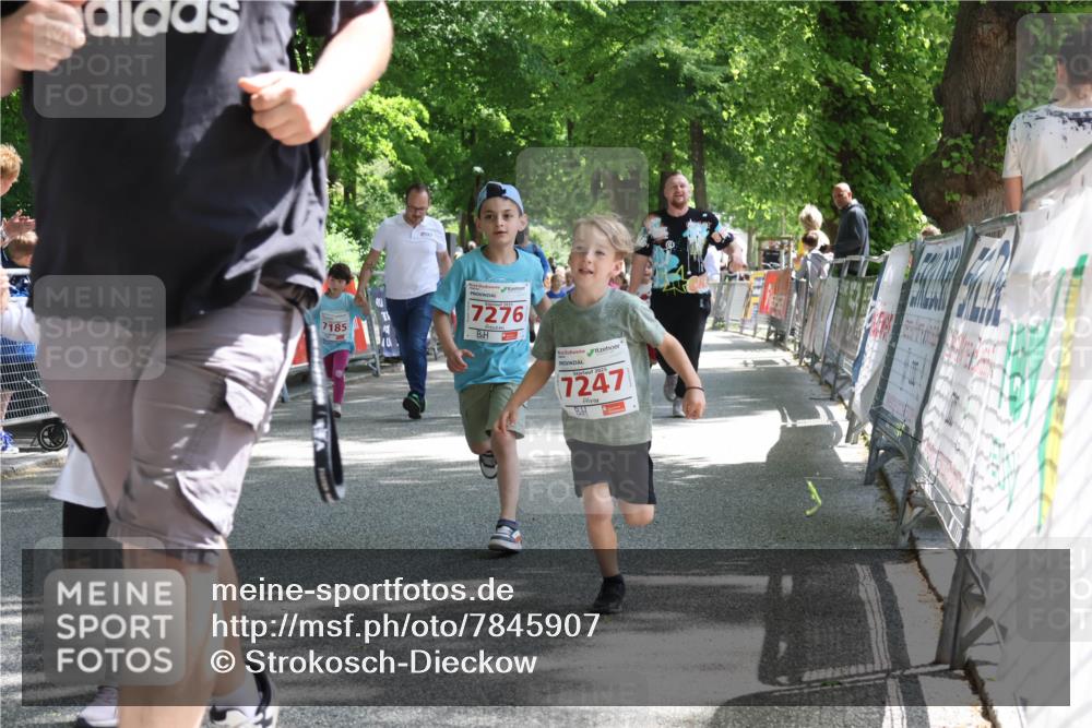 17.05.2025 - Störlauf Strokosch-Dieckow http://msf.ph/oto/7845907 17.05.2025 13:01:50 Ziel 7185, 7276, 7247 meine-sportfotos.de