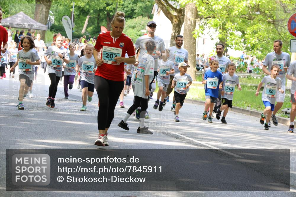 17.05.2025 - Störlauf Strokosch-Dieckow http://msf.ph/oto/7845911 17.05.2025 13:31:19 Laufen 336, 247, 356, 207, 35, 292, 133, 129, 263, 50 meine-sportfotos.de