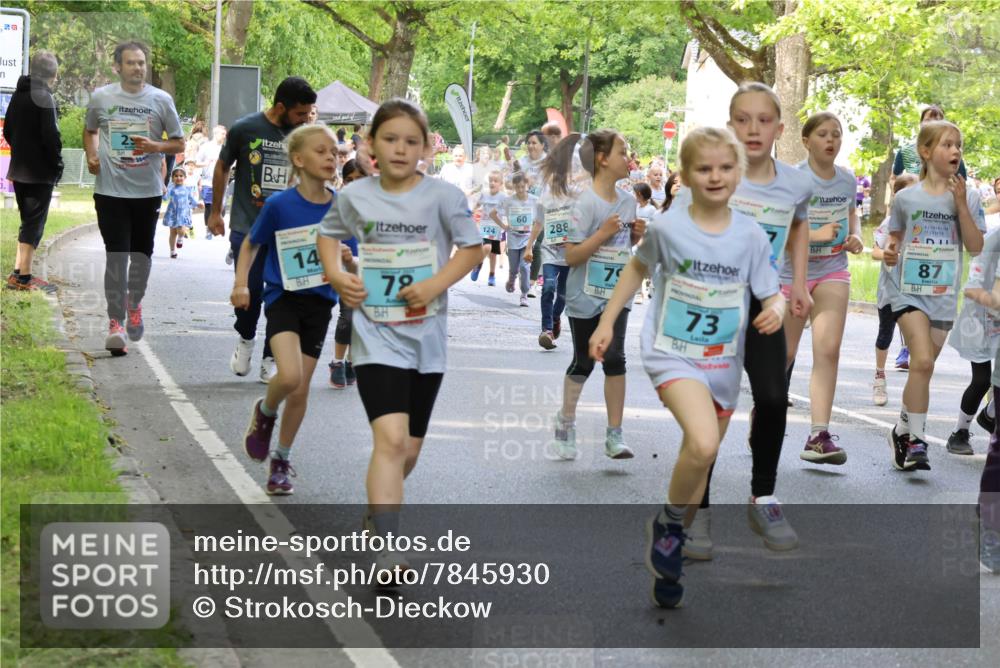 17.05.2025 - Störlauf Strokosch-Dieckow http://msf.ph/oto/7845930 17.05.2025 13:31:24 Laufen 55, 60, 124, 288, 14, 78, 79, 73, 87 meine-sportfotos.de