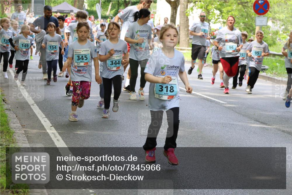 17.05.2025 - Störlauf Strokosch-Dieckow http://msf.ph/oto/7845966 17.05.2025 13:31:32 Laufen 203, 15, 149, 154, 345, 344, 2025, 318, 96, 95, 15 meine-sportfotos.de