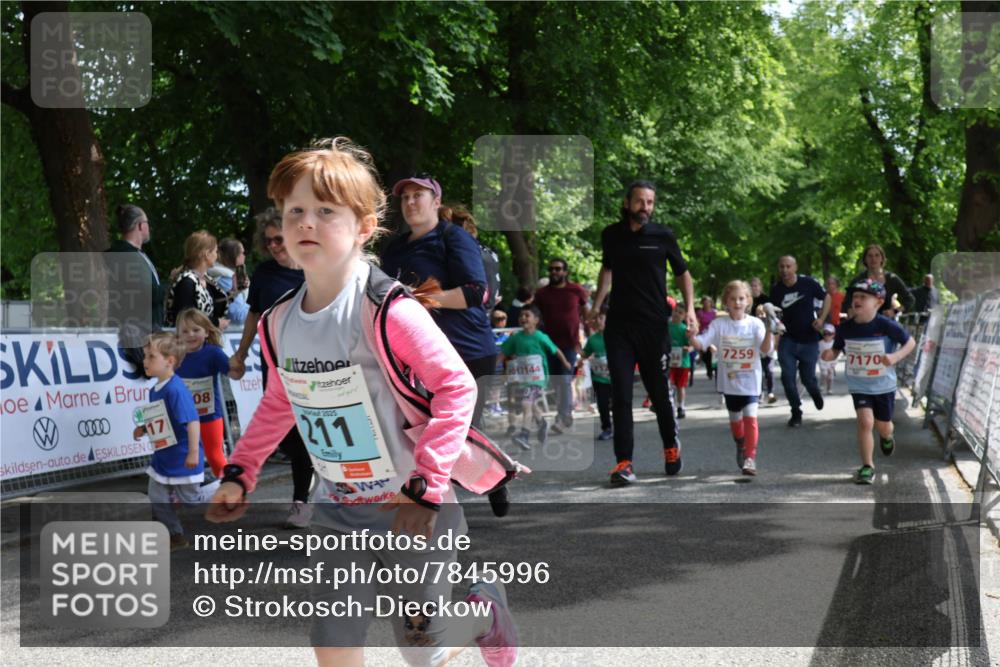 17.05.2025 - Störlauf Strokosch-Dieckow http://msf.ph/oto/7845996 17.05.2025 13:02:21 Ziel 17, 08, 2125, 211, 67144, 7259, 7170 meine-sportfotos.de