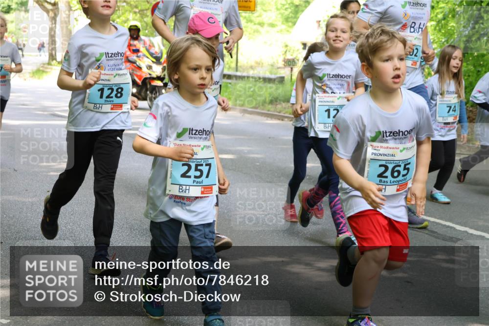 17.05.2025 - Störlauf Strokosch-Dieckow http://msf.ph/oto/7846218 17.05.2025 13:32:24 Laufen 2025, 128, 2, 12, 2025, 257, 2025, 265, 74 meine-sportfotos.de