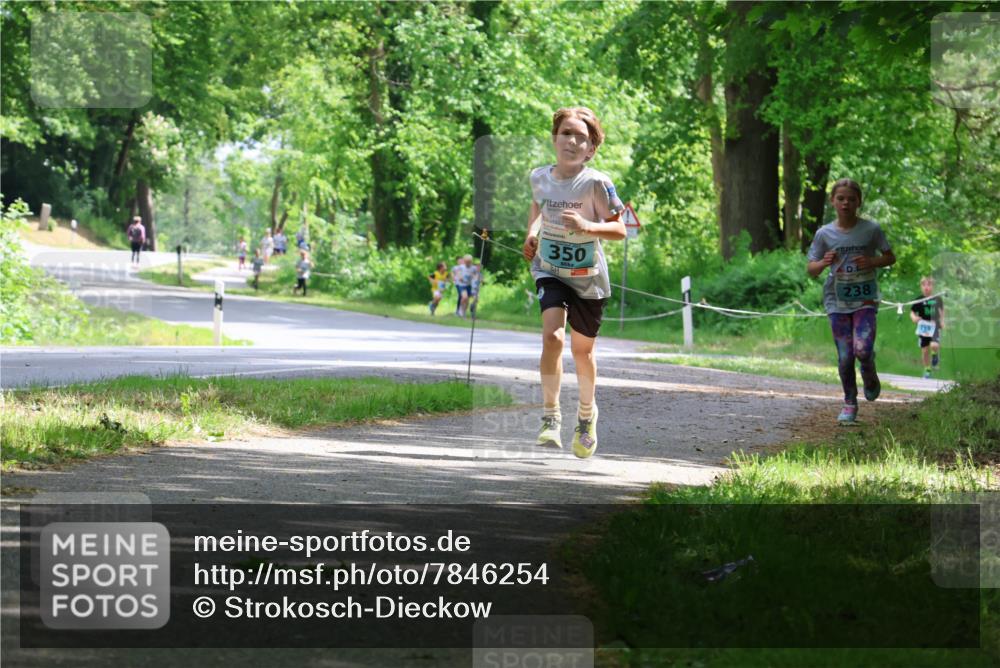 17.05.2025 - Störlauf Strokosch-Dieckow http://msf.ph/oto/7846254 17.05.2025 13:38:01 Laufen 350, 238 meine-sportfotos.de