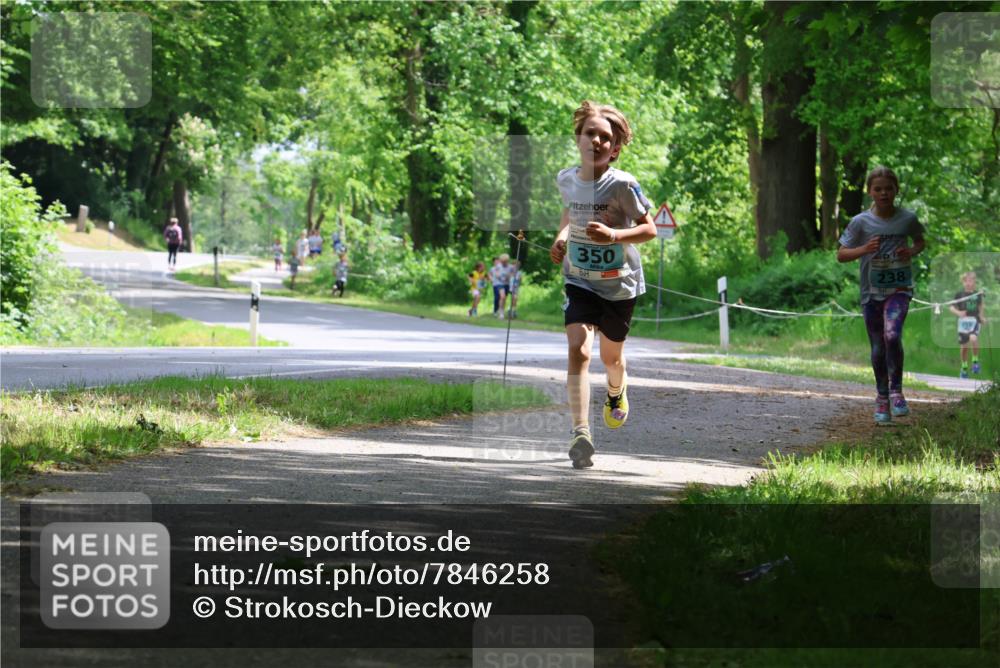 17.05.2025 - Störlauf Strokosch-Dieckow http://msf.ph/oto/7846258 17.05.2025 13:38:01 Laufen 350, 238 meine-sportfotos.de