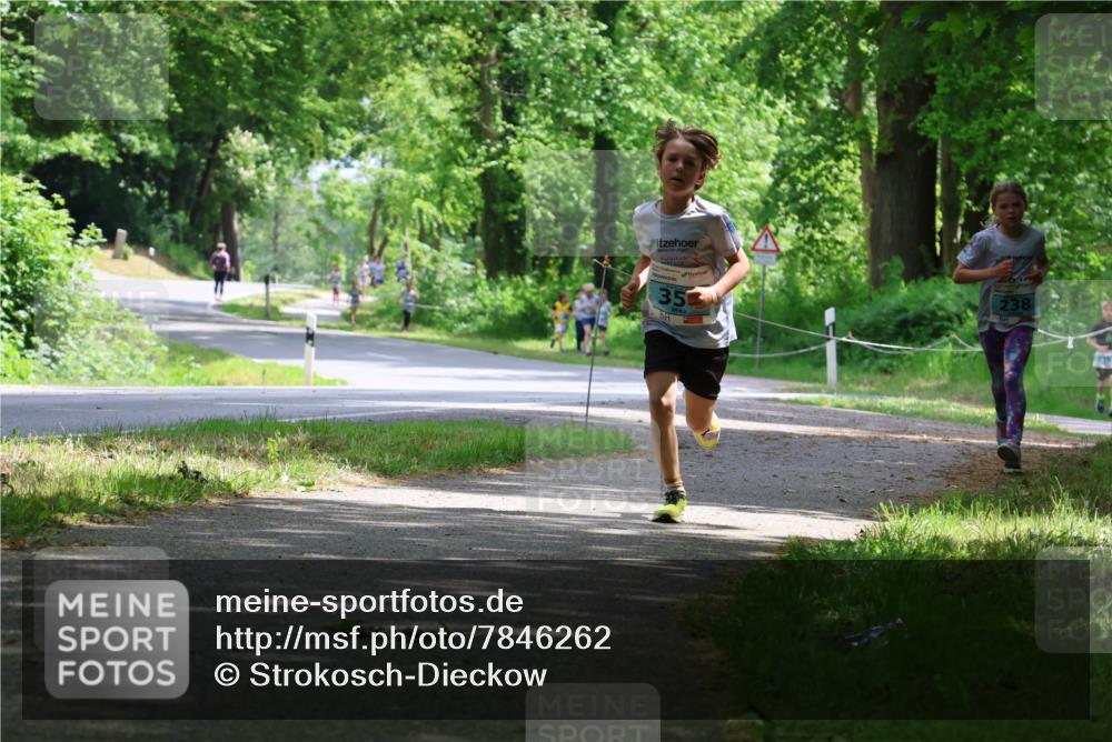 17.05.2025 - Störlauf Strokosch-Dieckow http://msf.ph/oto/7846262 17.05.2025 13:38:01 Laufen 35, 238, 239 meine-sportfotos.de