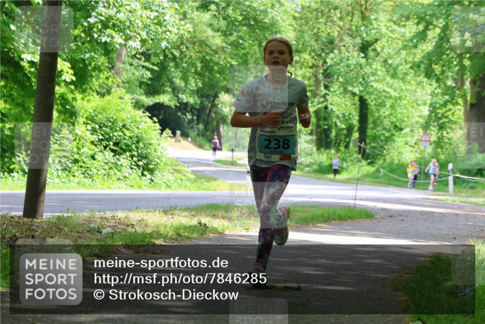 17.05.2025 - Störlauf Strokosch-Dieckow http://msf.ph/oto/7846285 17.05.2025 13:38:05 Laufen 238 meine-sportfotos.de