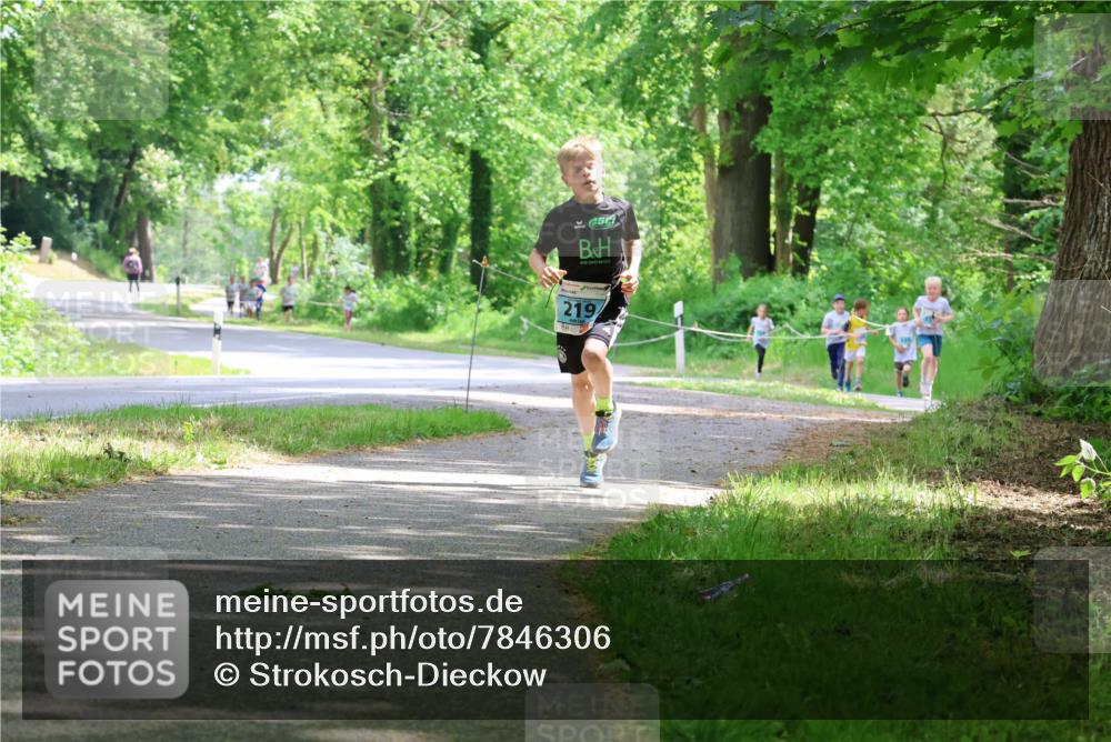 17.05.2025 - Störlauf Strokosch-Dieckow http://msf.ph/oto/7846306 17.05.2025 13:38:13 Laufen 219 meine-sportfotos.de