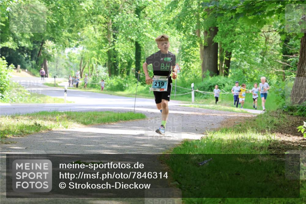 17.05.2025 - Störlauf Strokosch-Dieckow http://msf.ph/oto/7846314 17.05.2025 13:38:13 Laufen 219 meine-sportfotos.de