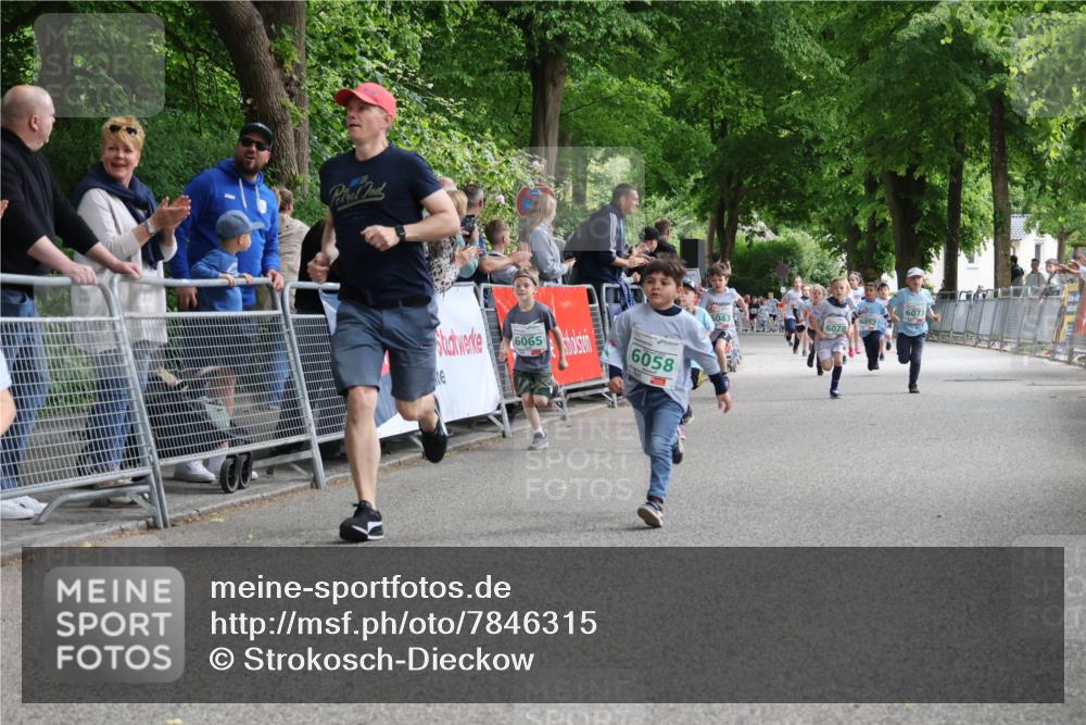 17.05.2025 - Störlauf Strokosch-Dieckow http://msf.ph/oto/7846315 17.05.2025 13:16:22 Ziel 6065, 6058, 5043, 6028, 6073, 6052 meine-sportfotos.de
