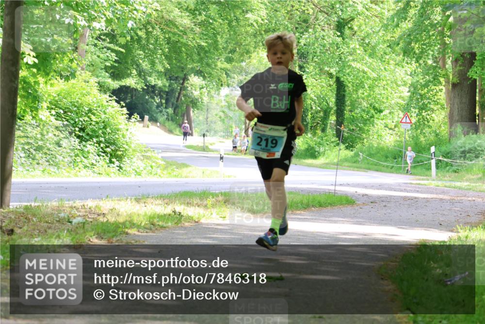 17.05.2025 - Störlauf Strokosch-Dieckow http://msf.ph/oto/7846318 17.05.2025 13:38:14 Laufen 219 meine-sportfotos.de