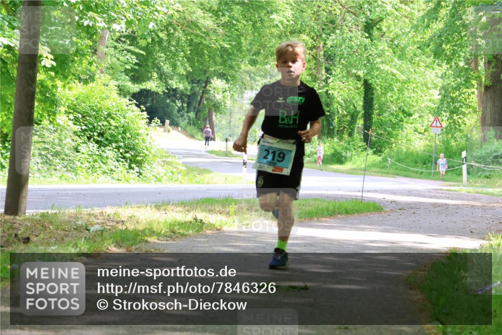 17.05.2025 - Störlauf Strokosch-Dieckow http://msf.ph/oto/7846326 17.05.2025 13:38:14 Laufen 219 meine-sportfotos.de