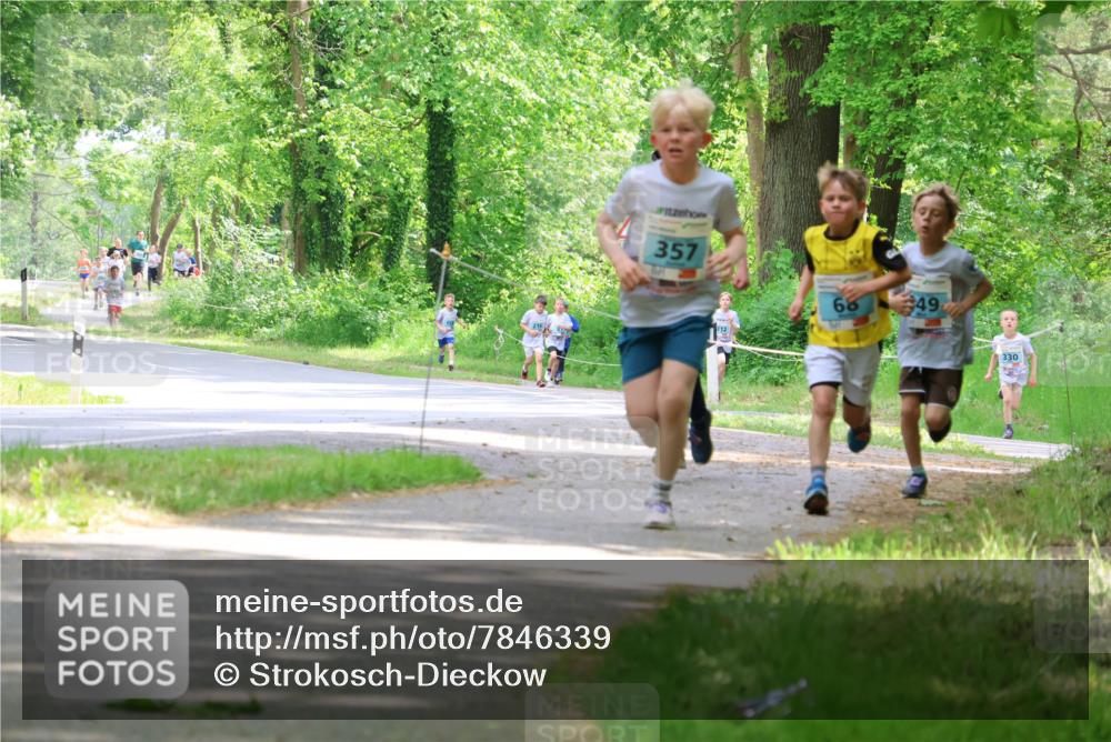 17.05.2025 - Störlauf Strokosch-Dieckow http://msf.ph/oto/7846339 17.05.2025 13:38:24 Laufen 216, 357, 68, 49, 330 meine-sportfotos.de