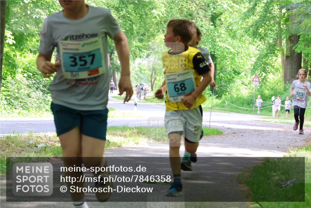 17.05.2025 - Störlauf Strokosch-Dieckow http://msf.ph/oto/7846358 17.05.2025 13:38:28 Laufen 357, 68, 353 meine-sportfotos.de