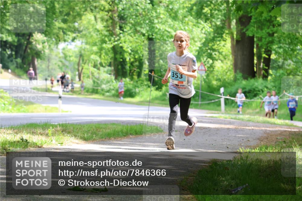 17.05.2025 - Störlauf Strokosch-Dieckow http://msf.ph/oto/7846366 17.05.2025 13:38:30 Laufen 353 meine-sportfotos.de