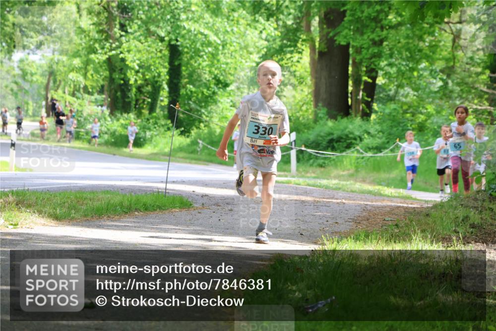 17.05.2025 - Störlauf Strokosch-Dieckow http://msf.ph/oto/7846381 17.05.2025 13:38:36 Laufen 330, 65 meine-sportfotos.de