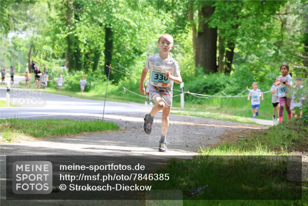 17.05.2025 - Störlauf Strokosch-Dieckow http://msf.ph/oto/7846385 17.05.2025 13:38:36 Laufen 330, 65 meine-sportfotos.de