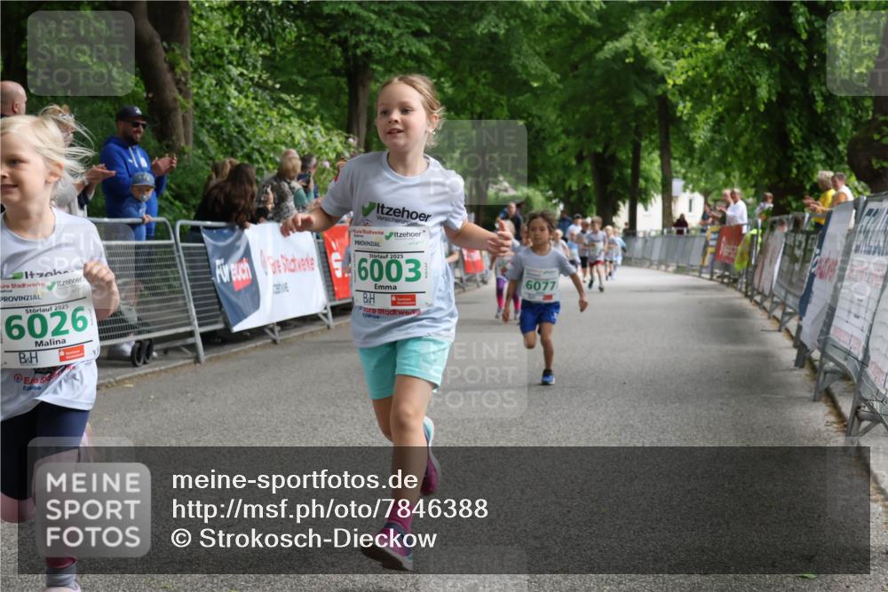 17.05.2025 - Störlauf Strokosch-Dieckow http://msf.ph/oto/7846388 17.05.2025 13:16:51 Ziel 2025, 6026, 2025, 6003, 6077 meine-sportfotos.de