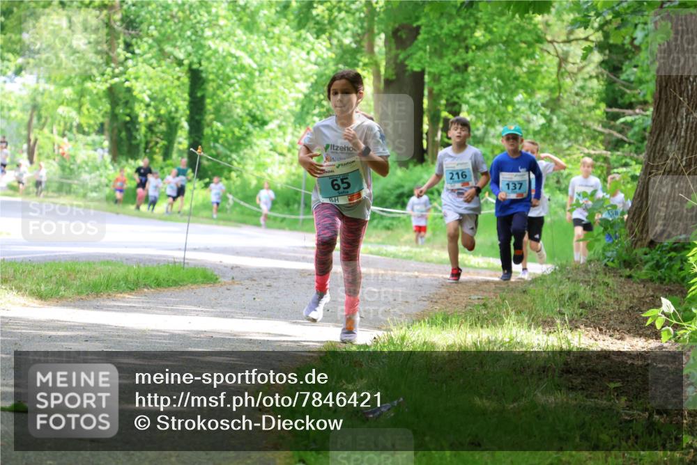 17.05.2025 - Störlauf Strokosch-Dieckow http://msf.ph/oto/7846421 17.05.2025 13:38:41 Laufen 2025, 65, 216, 137 meine-sportfotos.de