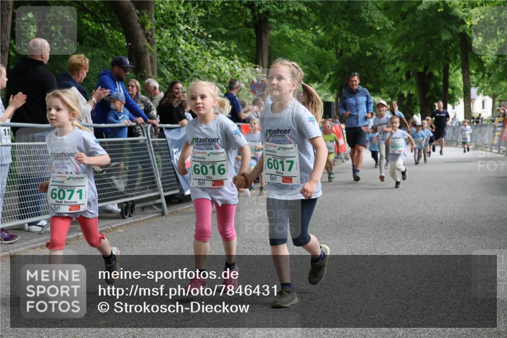 17.05.2025 - Störlauf Strokosch-Dieckow http://msf.ph/oto/7846431 17.05.2025 13:17:09 Ziel 2025, 6071, 2025, 6016, 064, 6017, 6004, 80 meine-sportfotos.de