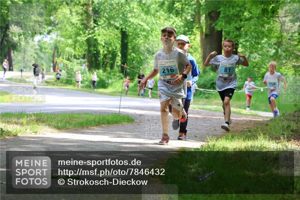 17.05.2025 - Störlauf Strokosch-Dieckow http://msf.ph/oto/7846432 17.05.2025 13:38:44 Laufen 216, 81, 158 meine-sportfotos.de