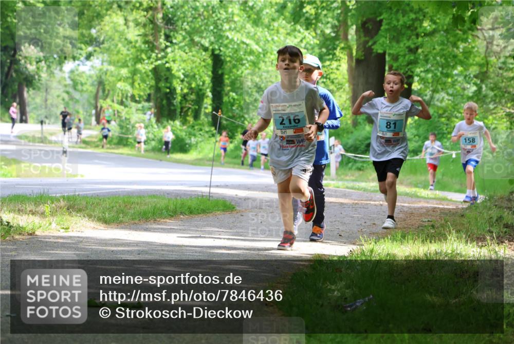 17.05.2025 - Störlauf Strokosch-Dieckow http://msf.ph/oto/7846436 17.05.2025 13:38:44 Laufen 216, 81, 158 meine-sportfotos.de