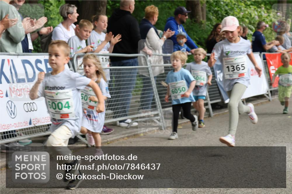 17.05.2025 - Störlauf Strokosch-Dieckow http://msf.ph/oto/7846437 17.05.2025 13:17:12 Ziel 00006004, 50, 119, 6050, 5064, 1365, 6080 meine-sportfotos.de