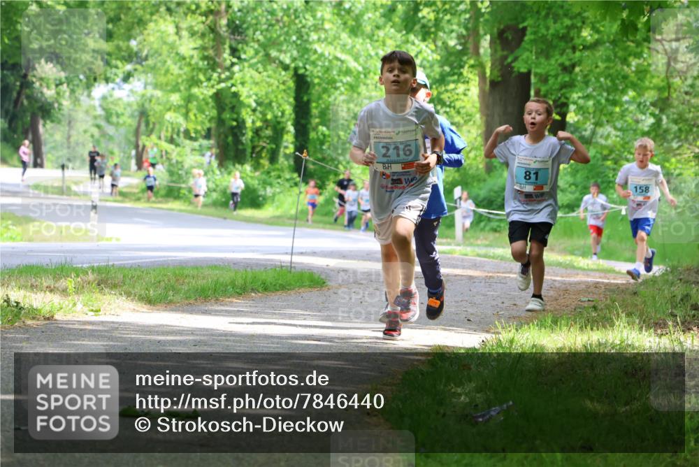 17.05.2025 - Störlauf Strokosch-Dieckow http://msf.ph/oto/7846440 17.05.2025 13:38:44 Laufen 216, 81, 158 meine-sportfotos.de