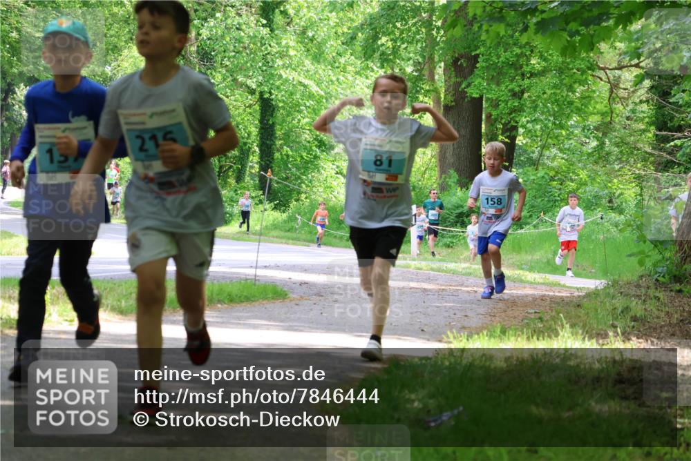 17.05.2025 - Störlauf Strokosch-Dieckow http://msf.ph/oto/7846444 17.05.2025 13:38:46 Laufen 215, 81, 158 meine-sportfotos.de
