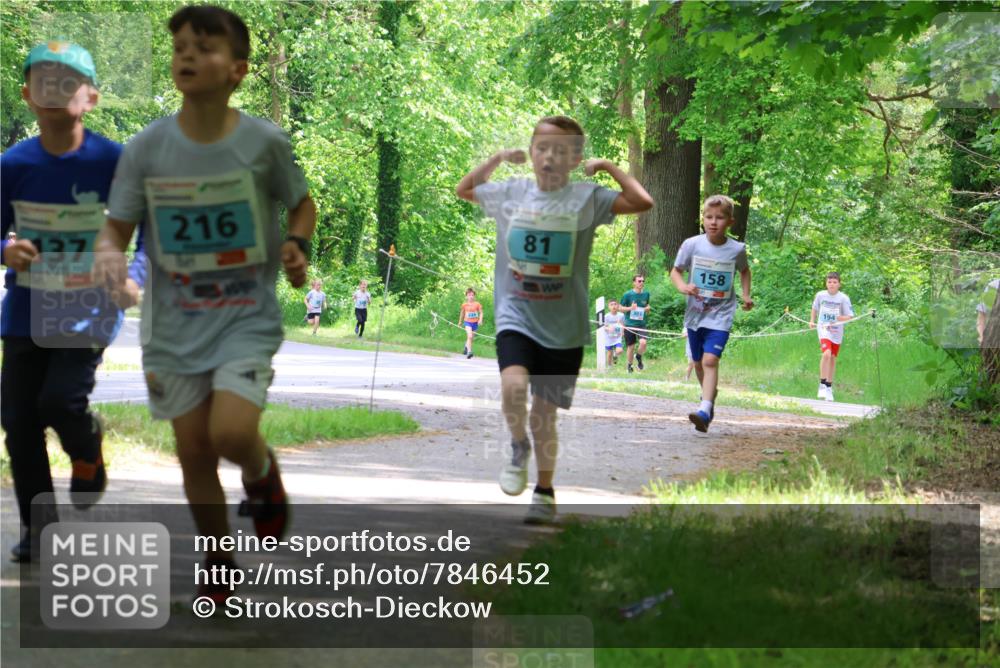 17.05.2025 - Störlauf Strokosch-Dieckow http://msf.ph/oto/7846452 17.05.2025 13:38:46 Laufen 216, 137, 81, 158, 194 meine-sportfotos.de