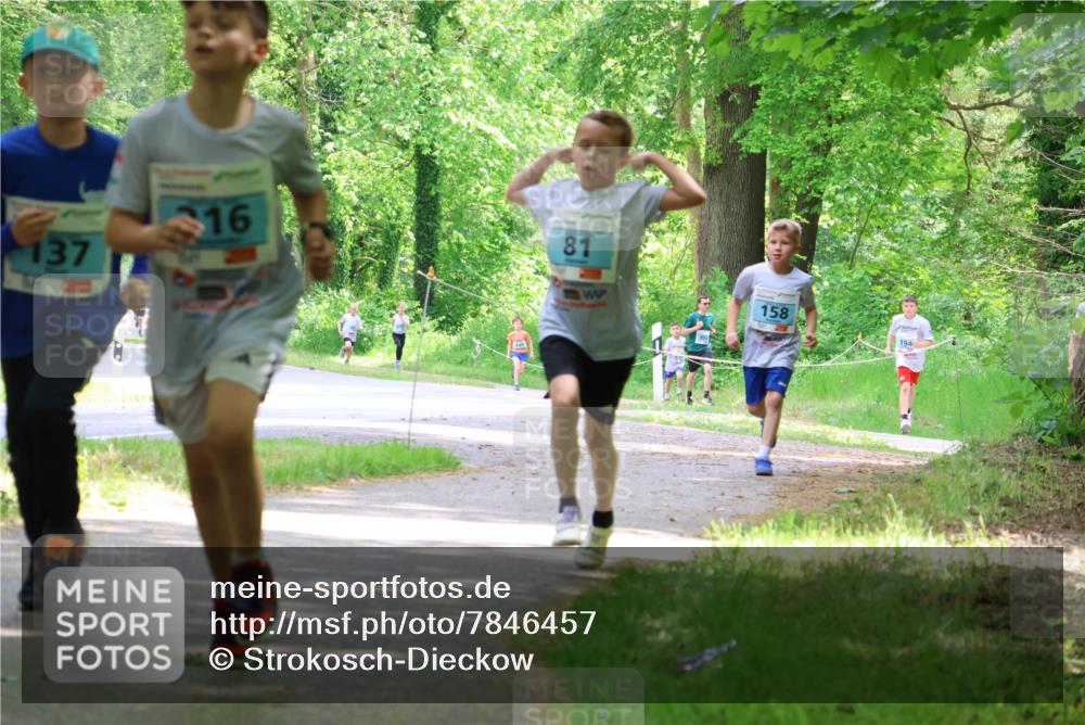 17.05.2025 - Störlauf Strokosch-Dieckow http://msf.ph/oto/7846457 17.05.2025 13:38:46 Laufen 137, 316, 81, 158, 194 meine-sportfotos.de