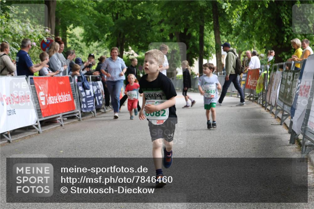 17.05.2025 - Störlauf Strokosch-Dieckow http://msf.ph/oto/7846460 17.05.2025 13:17:24 Ziel 5079, 5045, 6082 meine-sportfotos.de
