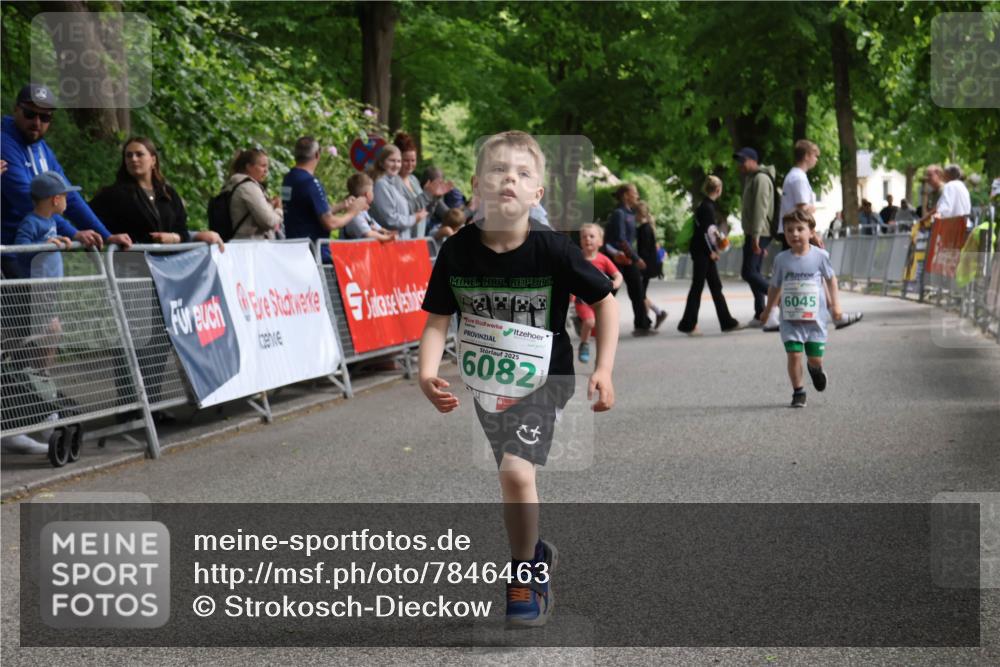 17.05.2025 - Störlauf Strokosch-Dieckow http://msf.ph/oto/7846463 17.05.2025 13:17:25 Ziel 2025, 6082, 6045, 6 meine-sportfotos.de