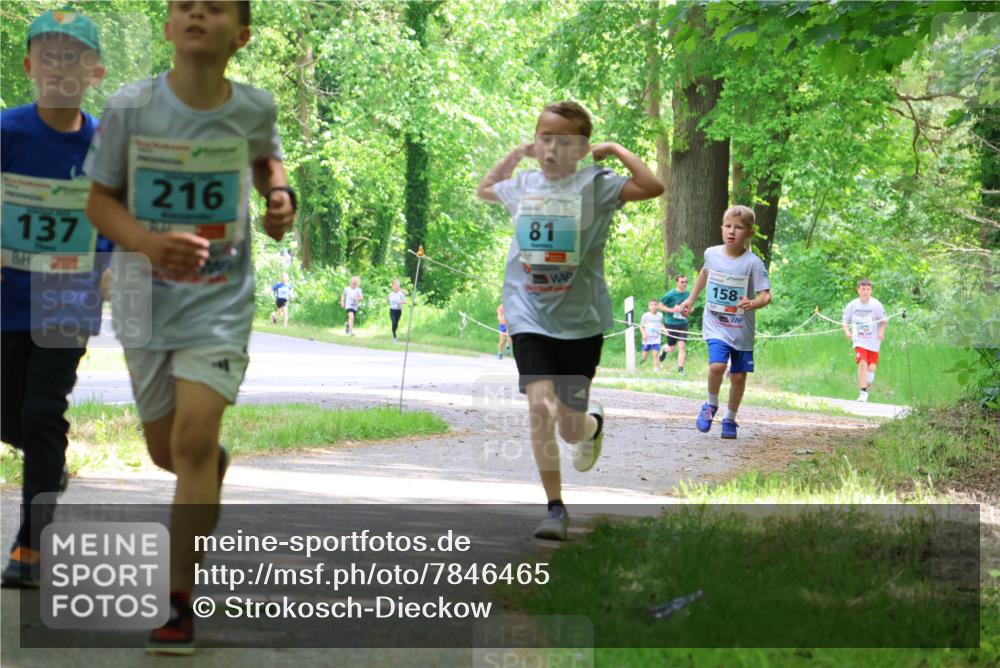 17.05.2025 - Störlauf Strokosch-Dieckow http://msf.ph/oto/7846465 17.05.2025 13:38:47 Laufen 137, 216, 81, 158 meine-sportfotos.de