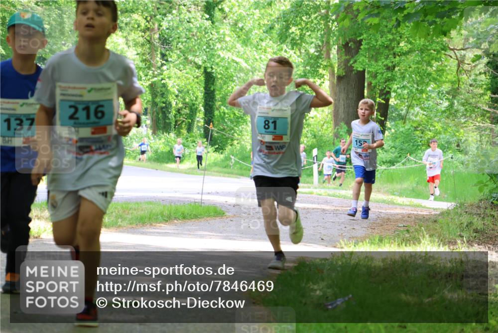 17.05.2025 - Störlauf Strokosch-Dieckow http://msf.ph/oto/7846469 17.05.2025 13:38:47 Laufen 137, 216, 81, 152 meine-sportfotos.de