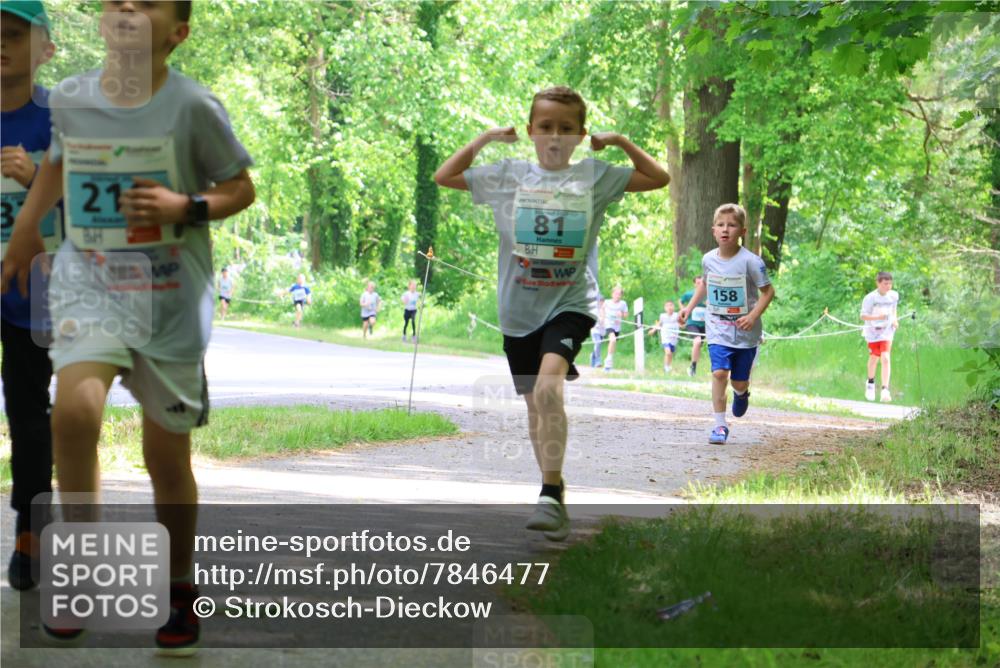 17.05.2025 - Störlauf Strokosch-Dieckow http://msf.ph/oto/7846477 17.05.2025 13:38:47 Laufen 21, 81, 158 meine-sportfotos.de