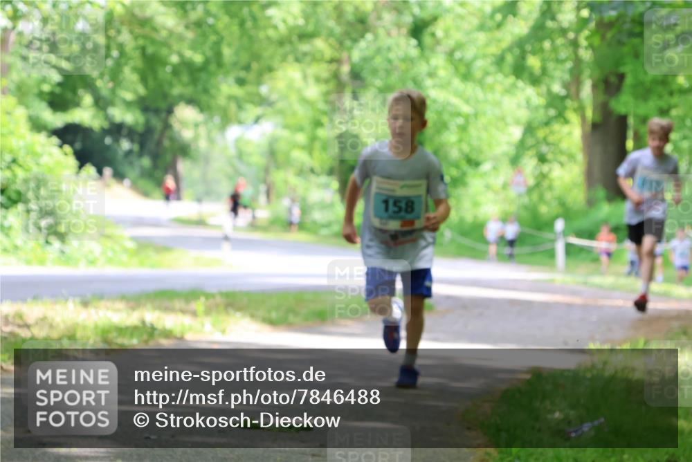 17.05.2025 - Störlauf Strokosch-Dieckow http://msf.ph/oto/7846488 17.05.2025 13:38:51 Laufen 158 meine-sportfotos.de