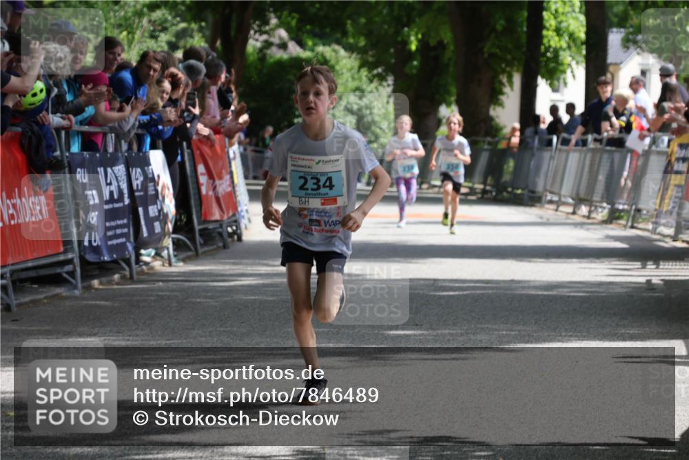 17.05.2025 - Störlauf Strokosch-Dieckow http://msf.ph/oto/7846489 17.05.2025 13:39:14 Ziel 40, 2079, 234 meine-sportfotos.de