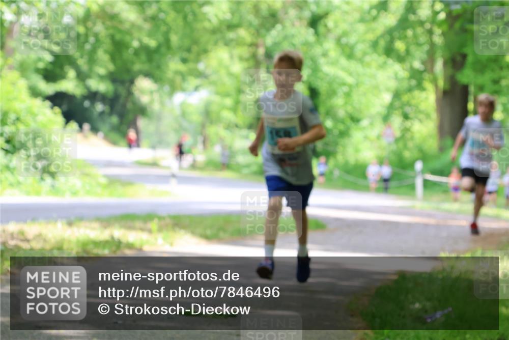 17.05.2025 - Störlauf Strokosch-Dieckow http://msf.ph/oto/7846496 17.05.2025 13:38:51 Laufen  meine-sportfotos.de