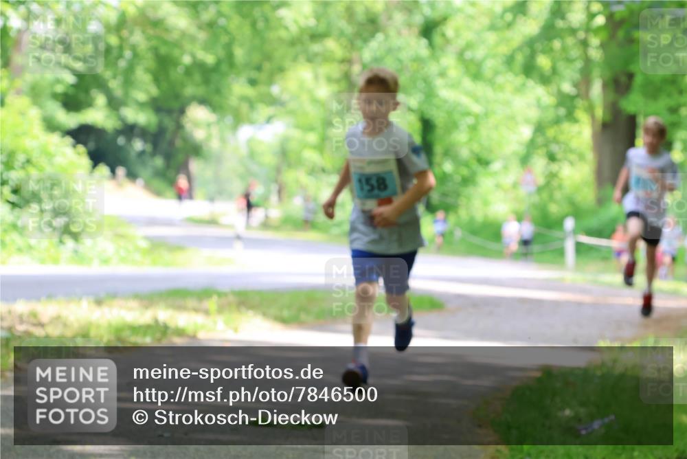 17.05.2025 - Störlauf Strokosch-Dieckow http://msf.ph/oto/7846500 17.05.2025 13:38:51 Laufen 158 meine-sportfotos.de
