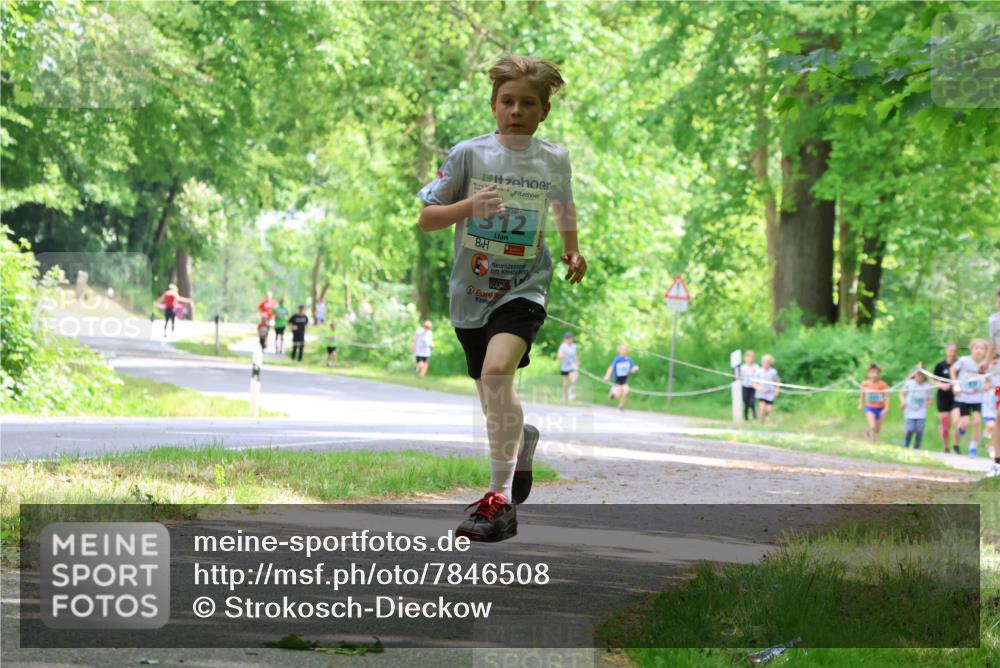 17.05.2025 - Störlauf Strokosch-Dieckow http://msf.ph/oto/7846508 17.05.2025 13:38:54 Laufen 312 meine-sportfotos.de