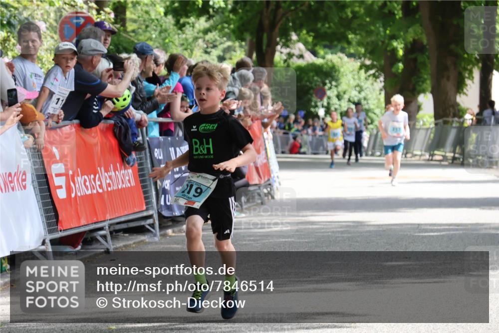17.05.2025 - Störlauf Strokosch-Dieckow http://msf.ph/oto/7846514 17.05.2025 13:39:32 Ziel 40, 219 meine-sportfotos.de