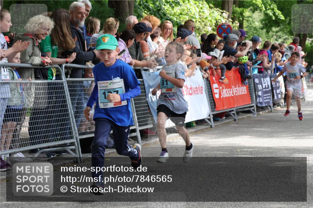 17.05.2025 - Störlauf Strokosch-Dieckow http://msf.ph/oto/7846565 17.05.2025 13:40:11 Ziel 2025, 81, 216 meine-sportfotos.de