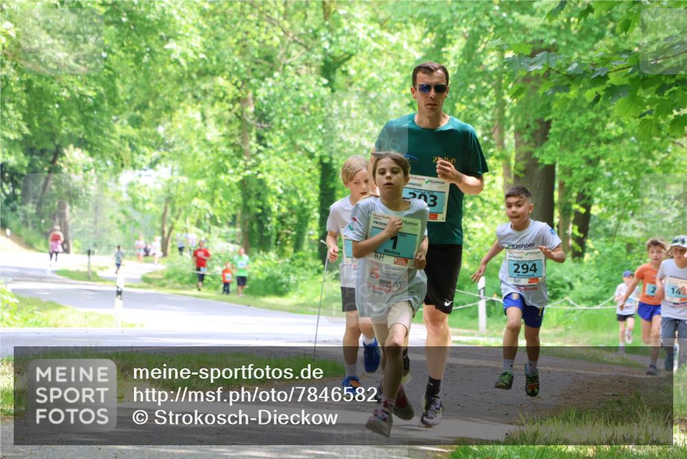 17.05.2025 - Störlauf Strokosch-Dieckow http://msf.ph/oto/7846582 17.05.2025 13:39:04 Laufen 2025, 03, 2025, 294, 14 meine-sportfotos.de