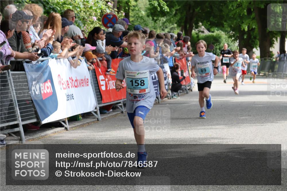 17.05.2025 - Störlauf Strokosch-Dieckow http://msf.ph/oto/7846587 17.05.2025 13:40:23 Ziel 2025, 158, 89 meine-sportfotos.de
