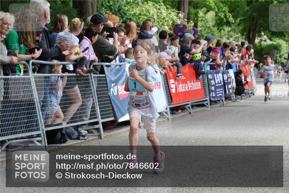 17.05.2025 - Störlauf Strokosch-Dieckow http://msf.ph/oto/7846602 17.05.2025 13:40:28 Ziel 294 meine-sportfotos.de
